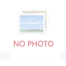 探針臺可以直接放物品嗎？