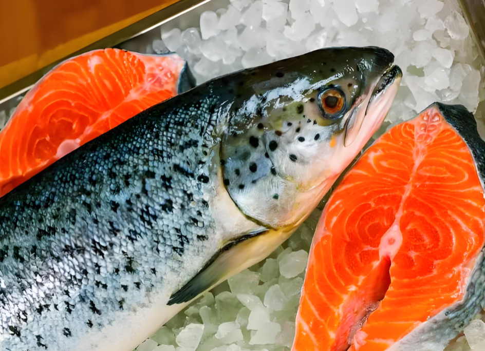 8月中國(guó)進(jìn)口三文魚總量超1.55萬噸，同比增4%（附報(bào)關(guān)單證資料）