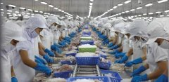 8月巴沙魚進口量暴跌60%！近半數(shù)越南巴沙魚工廠停產(chǎn)！