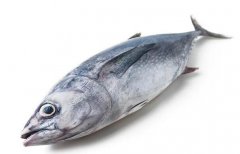 曼谷金槍魚價格繼續上漲，12月均價超過厄瓜多爾！