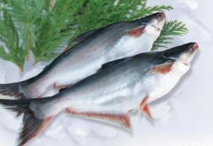 中國進口越南巴沙魚蝦等水產品波動明顯,未來走勢難以預測！